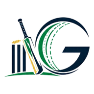 Gully Cricket